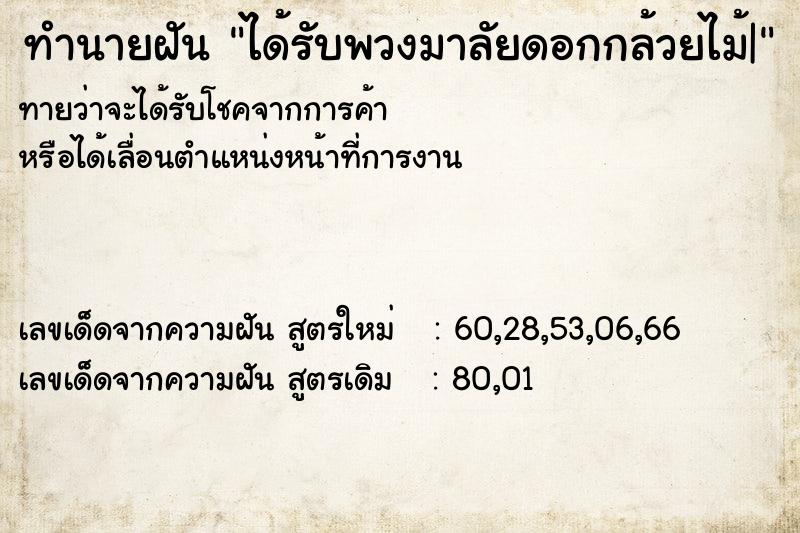 ทำนายฝันทำนายฝันได้รับพวงมาลัยดอกกล้วยไม้|